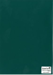 Focus sur une toile Soltis 502 Proof Tennis Green